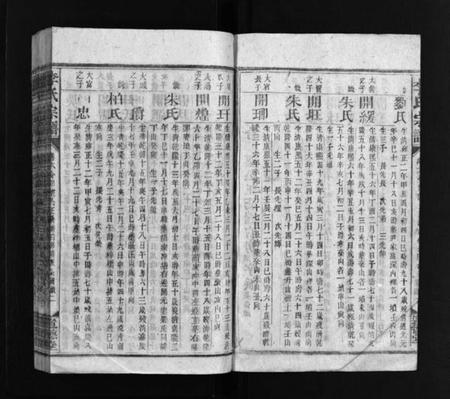 湖南李氏族谱-李氏宗谱 [残卷].pdf电子版插图3