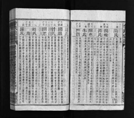 湖南李氏族谱-李氏宗谱 [残卷].pdf电子版插图5