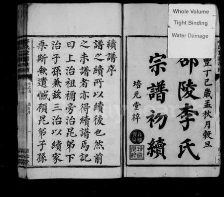 湖南李氏族谱-李氏宗谱初续 [卷数杂异].pdf电子版插图3