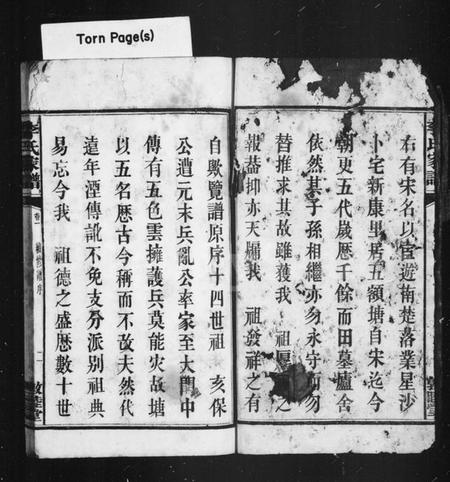 湖南李氏族谱-李氏家谱 [8卷].pdf电子版插图5