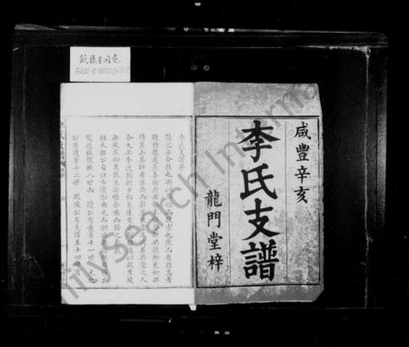 湖南李氏族谱-李氏支谱 [4卷,首1卷].pdf电子版插图4