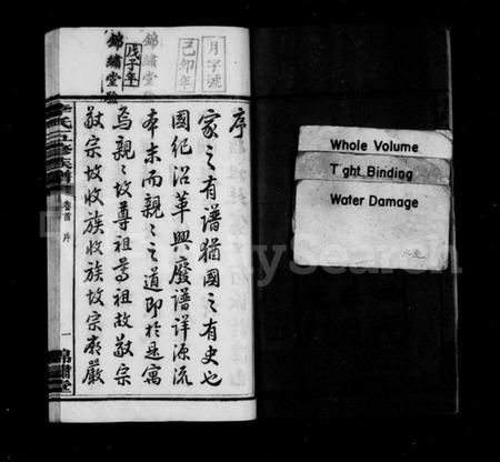 湖南李氏族谱-李氏族谱 [10卷,首末各1卷].pdf电子版插图4