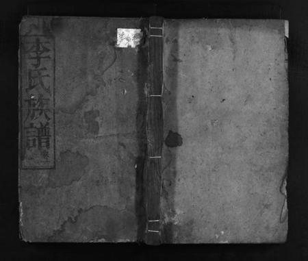 湖南李氏族谱-李氏族谱 [11卷].pdf电子版插图1