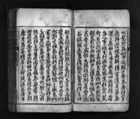 湖南李氏族谱-李氏族谱 [11卷].pdf电子版插图3