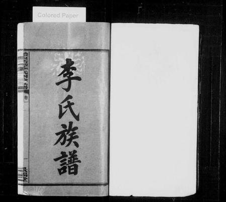 湖南李氏族谱-李氏族谱 [12卷].pdf电子版插图2