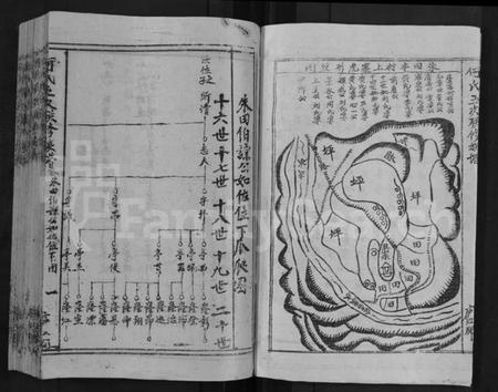 江西何氏族谱-何氏五次联修族谱 [卷数未列].pdf电子版插图4