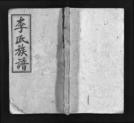 湖南李氏族谱-李氏族谱 [22卷,首2卷].pdf电子版插图1