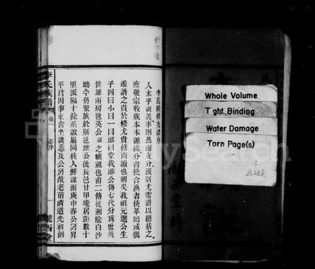 湖南李氏族谱-李氏族谱 [4卷].pdf电子版插图3