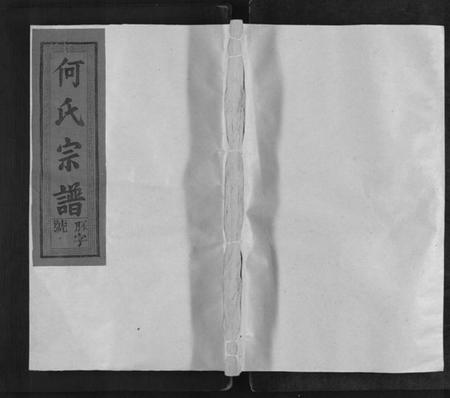 江西何氏族谱-卢江何氏宗谱[3卷,首1卷].pdf电子版