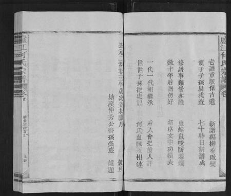 江西何氏族谱-卢江何氏宗谱[3卷,首1卷].pdf电子版插图5