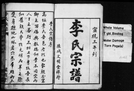 湖南李氏族谱-李氏族谱 [不分卷].pdf电子版插图2