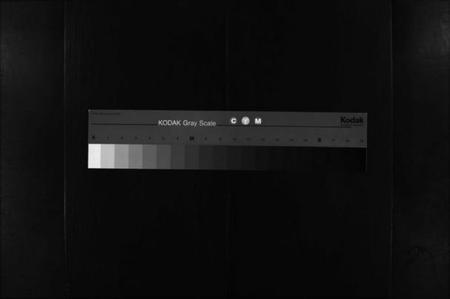 湖南李氏族谱-李氏族谱 [不分卷].pdf电子版