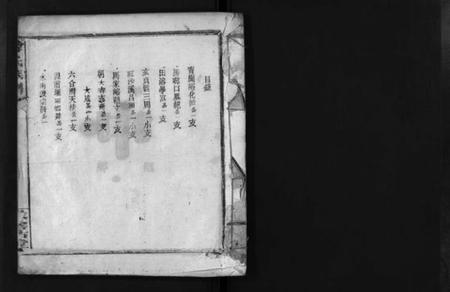 湖南李氏族谱-李氏族谱 [不分卷].pdf电子版插图2