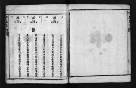 湖南李氏族谱-李氏族谱 [不分卷].pdf电子版插图4