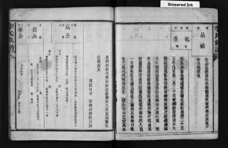 湖南李氏族谱-李氏族谱 [不分卷].pdf电子版插图5