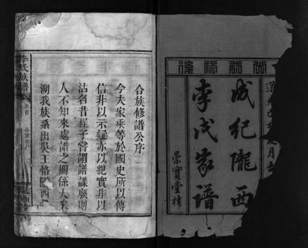 湖南李氏族谱-李氏族谱 [残卷].pdf电子版插图2