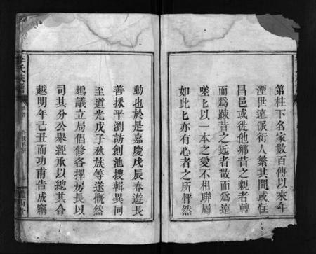 湖南李氏族谱-李氏族谱 [残卷].pdf电子版插图3