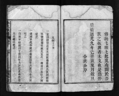 湖南李氏族谱-李氏族谱 [残卷].pdf电子版插图5