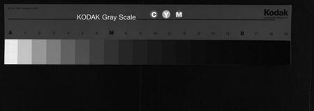 湖南李氏族谱-李氏族谱[65卷,首4卷].pdf电子版