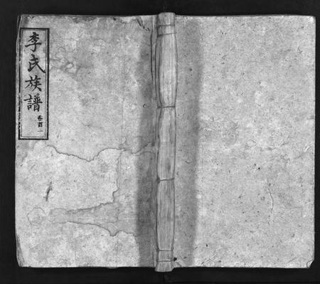 湖南李氏族谱-李氏族谱[65卷,首4卷].pdf电子版插图1