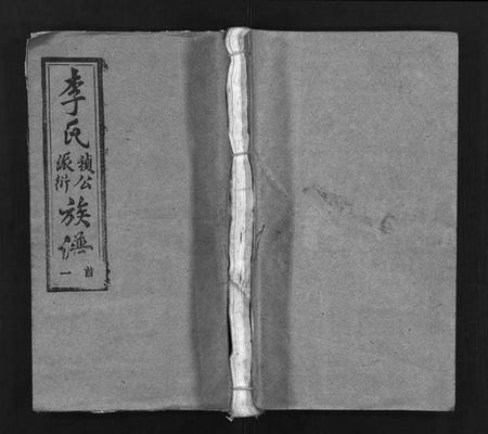 湖南李氏族谱-李氏祯公派衍族谱 [18卷,首4卷].pdf电子版插图1