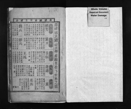 湖南李氏族谱-李氏重修族谱 [残卷].pdf电子版插图2