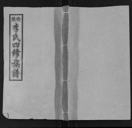 湖南李氏族谱-桥头李氏四修族谱 [35卷,首5卷].pdf电子版