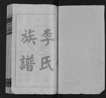 湖南李氏族谱-桥头李氏四修族谱 [35卷,首5卷].pdf电子版插图1