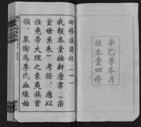 湖南李氏族谱-桥头李氏四修族谱 [35卷,首5卷].pdf电子版插图2