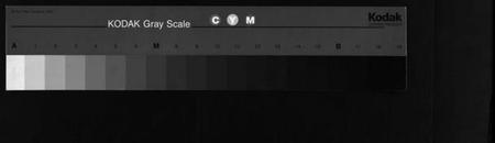 湖南李氏族谱-桥头高山李氏续谱 [8卷,首2卷].pdf电子版