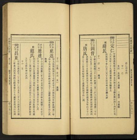湖南李氏族谱-泉塘李氏五修房谱 [16册].pdf电子版插图4