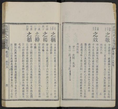 湖南李氏族谱-湘潭高塘李氏八修家谱 [58卷及卷首末共24册].pdf电子版插图2