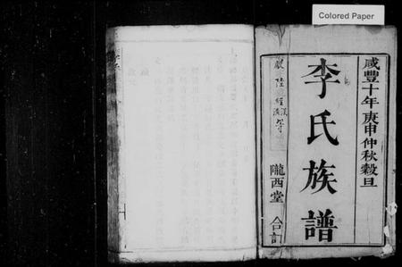 湖南李氏族谱-沩宁东城李氏续谱 [卷数杂异].pdf电子版插图2