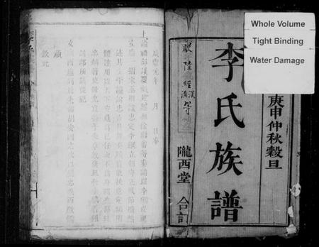 湖南李氏族谱-沩宁东城李氏续谱 [卷数杂异].pdf电子版插图3