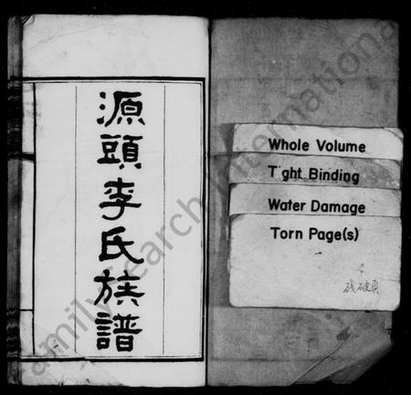 湖南李氏族谱-源头李氏族谱 [38卷].pdf电子版插图2