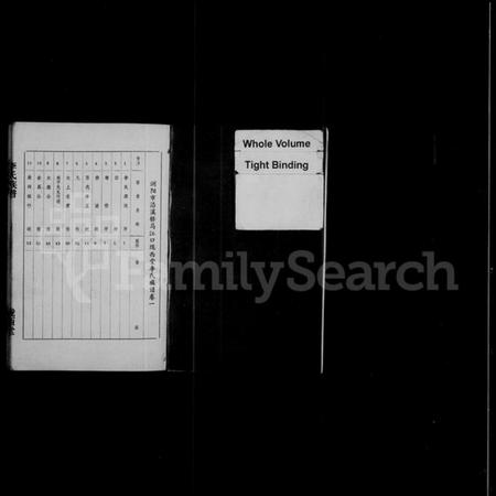 湖南李氏族谱-浏阳市沿溪桥马江口陇西堂李氏族谱 [4卷].pdf电子版插图3