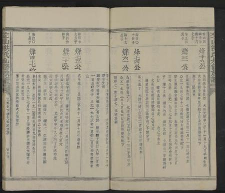 江西洪氏族谱-左山洪氏九修族谱[不分卷].pdf电子版插图5