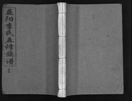 湖南李氏族谱-益阳李氏五修族谱 [16卷,首1卷,附1卷].pdf电子版插图1