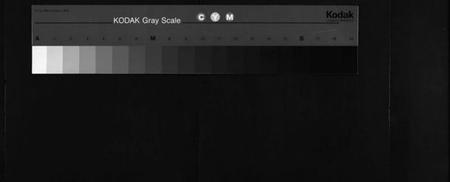 湖南李氏族谱-花门楼李氏支谱[4卷].pdf电子版