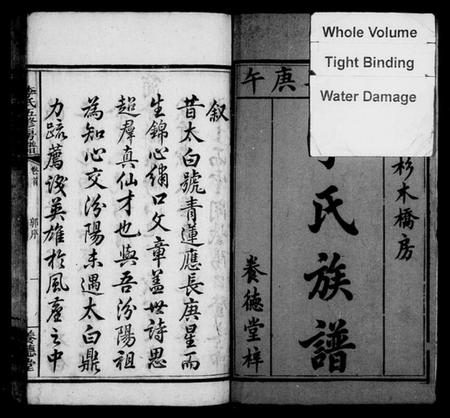 湖南李氏族谱-衡山杉木桥房李氏族谱 [11卷,及卷末].pdf电子版插图4