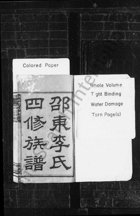 湖南李氏族谱-邵东李氏四修族谱 [25卷,首2卷,末6卷].pdf电子版插图2