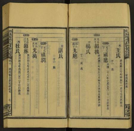 湖南李氏族谱-邵陵泉塘李氏四修宗谱 [20卷,首1卷,末3卷].pdf电子版插图4