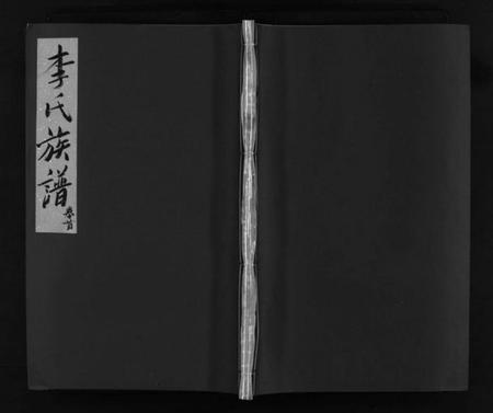 湖南李氏族谱-邵陵龙山李氏族谱 [5卷,首1卷].pdf电子版插图1