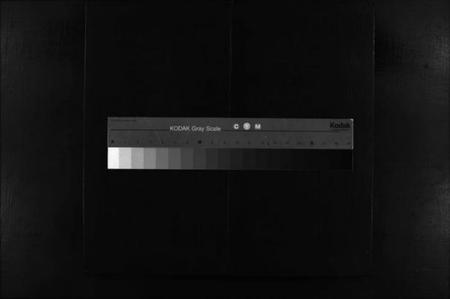 湖南李氏族谱-金山井头李氏族谱 [不分卷].pdf电子版