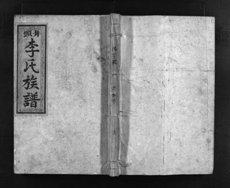 湖南李氏族谱-金山井头李氏族谱 [不分卷].pdf电子版插图1