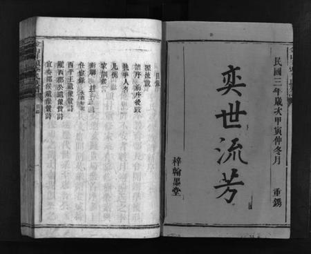 湖南李氏族谱-金山井头李氏族谱 [不分卷].pdf电子版插图2