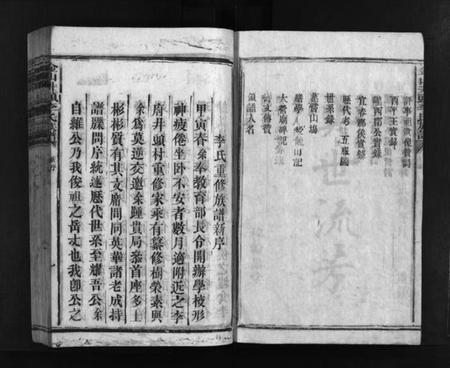 湖南李氏族谱-金山井头李氏族谱 [不分卷].pdf电子版插图3