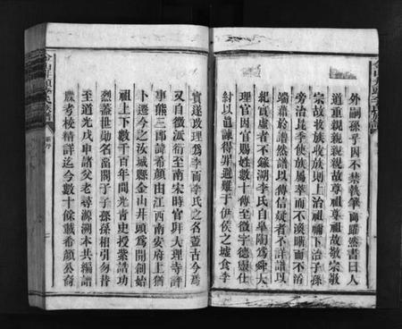 湖南李氏族谱-金山井头李氏族谱 [不分卷].pdf电子版插图4