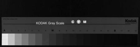 湖南李氏族谱-金溪李氏五修族谱[14卷].pdf电子版