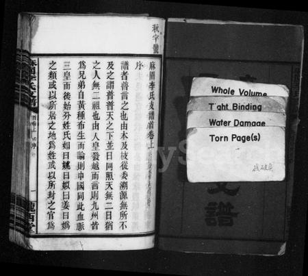 湖南李氏族谱-麻园李氏支谱 [6卷,及卷首].pdf电子版插图3